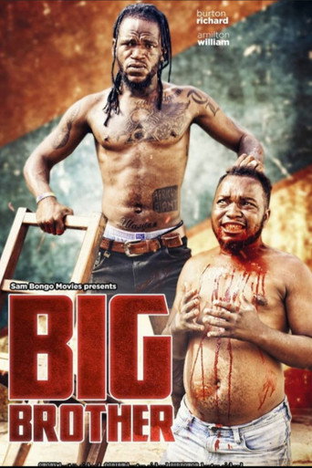 Series poster for Big Brother (2021)
