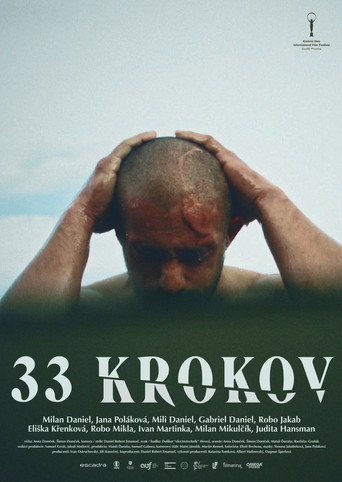 Movie poster for 33 Steps