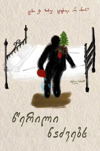 A Letter to Fir Trees poster