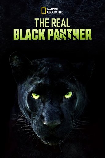 Movie poster for The Real Black Panther (2020)