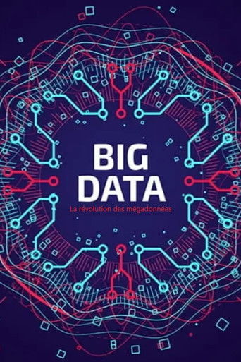 Big Data - La révolution des mégadonnées poster