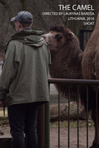 The Camel poster