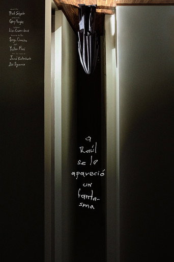 Movie poster for Raul saw a ghost