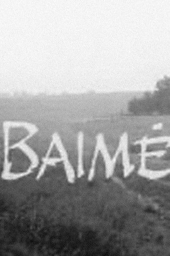 Baimė poster