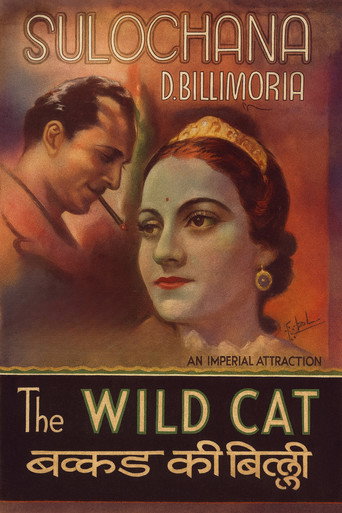 Movie poster for Wildcat of Bombay (1926)