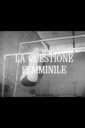 Movie poster for La questione femminile (1976)