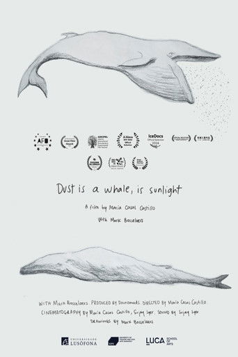 Dust is a Whale, is Sunlight poster