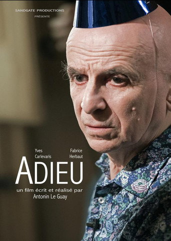 Movie poster for Farewell (2014)
