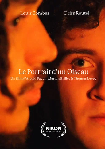 Movie poster for The Portrait of a Bird (2026)