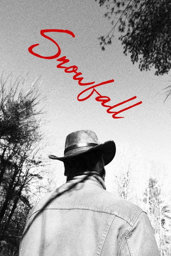 Movie poster for Snowfall (2026)