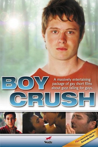 Movie poster for Boy Crush (2007)