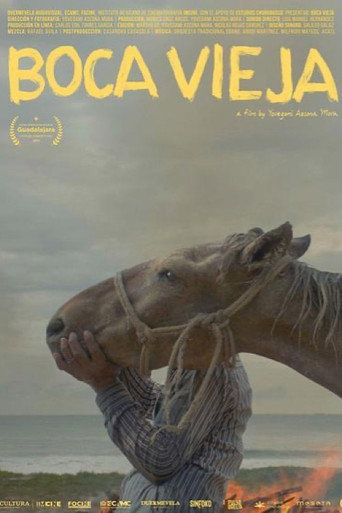 Movie poster for Boca Vieja (2025)