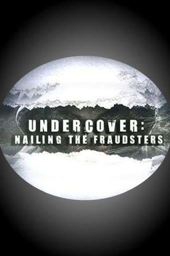 Series poster for Undercover: Nailing the Fraudsters (2016)