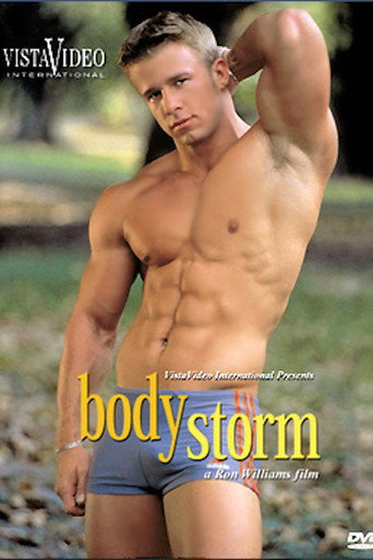 Movie poster for Body Storm (2001)
