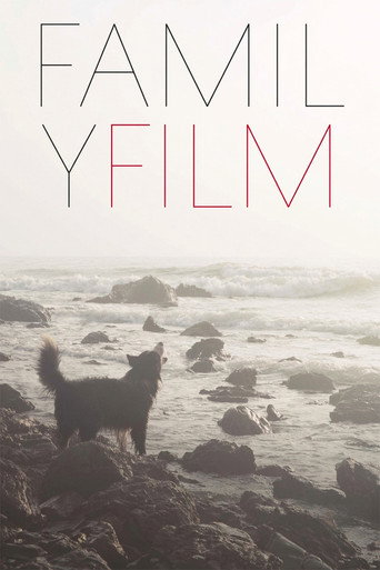 Movie poster for Family Film (2016)
