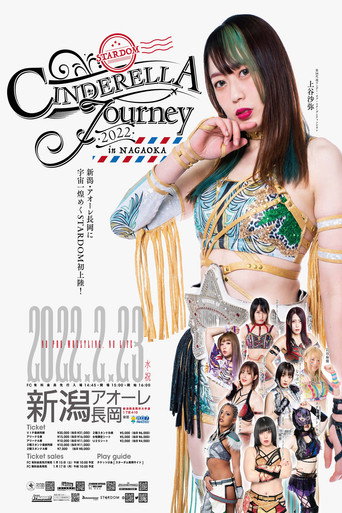 Movie poster for Stardom Cinderella Journey 2022 in Nagaoka (2022)