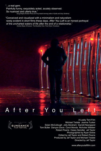 Movie poster for After You Left (2011)
