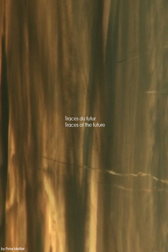 Movie poster for Traces of the future (2014)