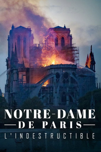 Movie poster for Notre-Dame de Paris, l'indestructible (2020)
