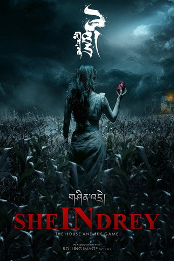 Movie poster for SHEinDREY (2024)