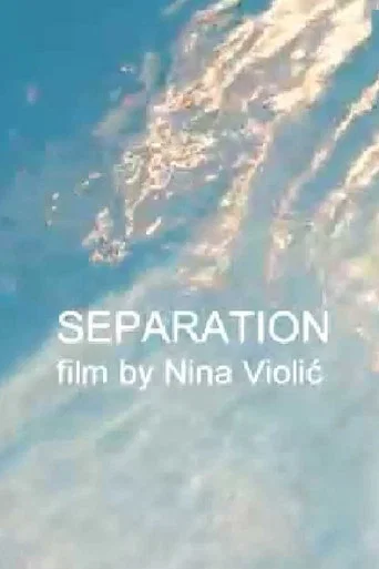 Movie poster for Separation (2015)