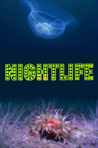 Movie poster for Nightlife (1976)