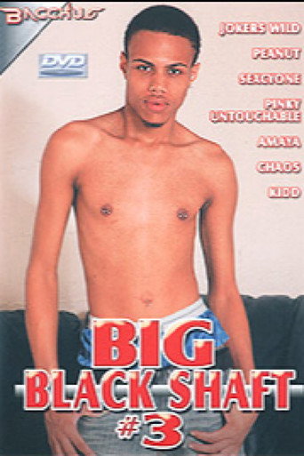 Movie poster for Big Black Shaft 3 (2005)