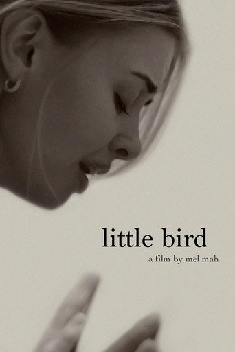 Movie poster for Little Bird