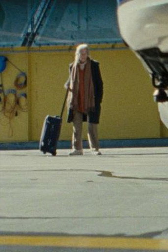 Movie poster for Terminal (2019)