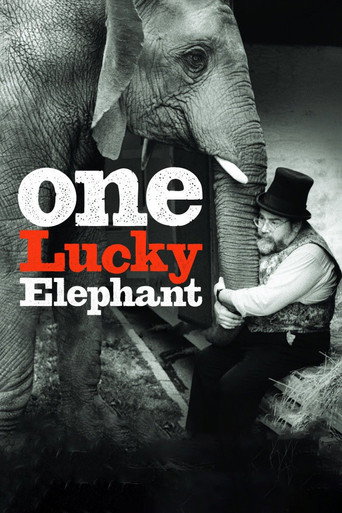 Movie poster for One Lucky Elephant (2010)