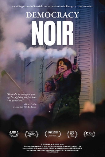 Movie poster for Democracy Noir (2024)