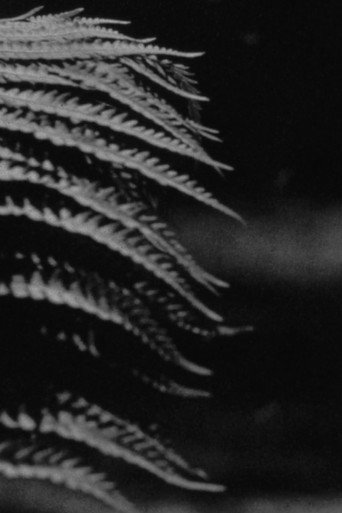 Movie poster for emergence (2024)