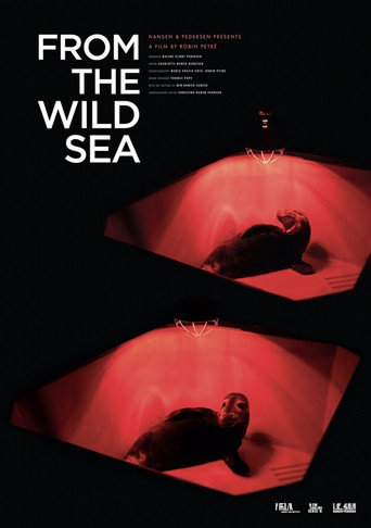 Movie poster for From the Wild Sea (2021)