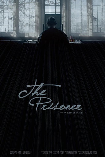 Movie poster for The Prisoner (2016)
