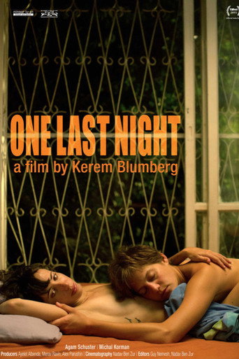 Movie poster for One Last Night (2015)