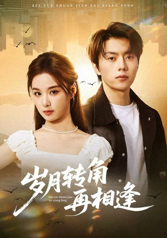 Series poster for 岁月转角再相逢 (2026)