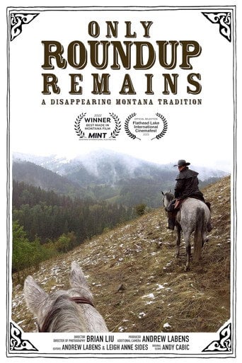 Movie poster for Only Roundup Remains (2022)
