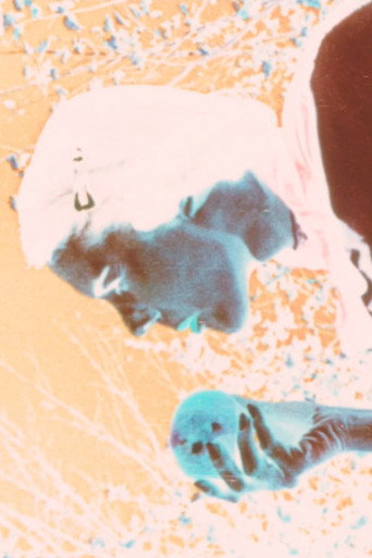 Movie poster for Kodachrome Love Poem (1995)