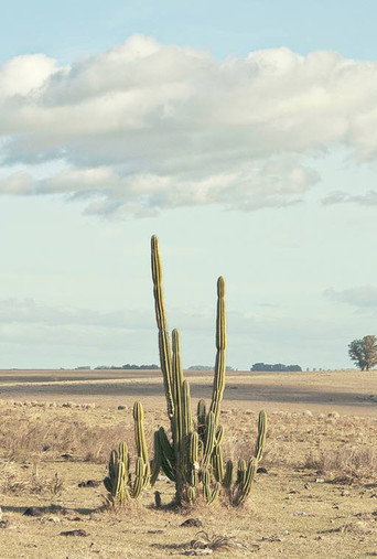 Movie poster for Blue Boy (2011)