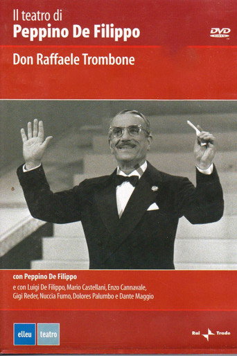 Movie poster for Don Raffaele 'o trombone (1972)