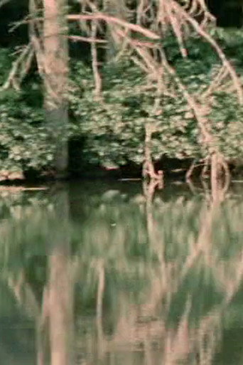Movie poster for Porter Springs 3 (1977)