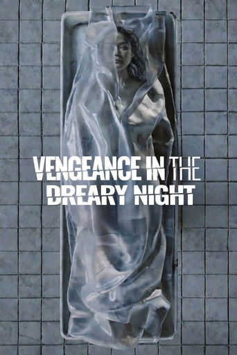 Vengeance in the Dreary Night poster