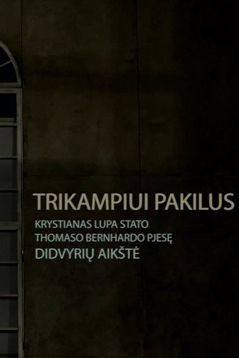 Movie poster for Triangle Lifted: Krystian Lupa Stages Heroes Square (2015)