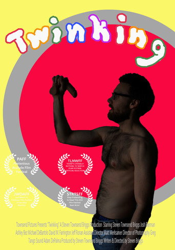 Movie poster for Twinking (2018)