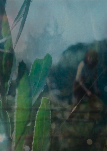 Movie poster for Entre el cielo y la tierra (2024)