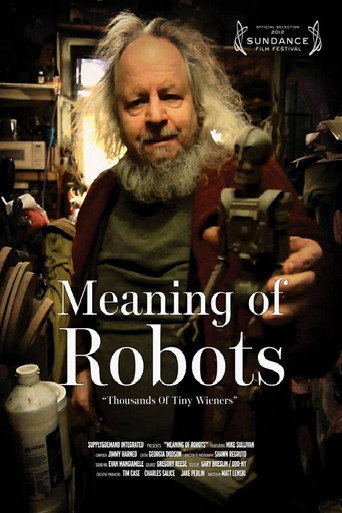 Movie poster for Meaning of Robots (2012)