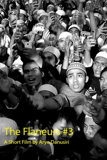 Movie poster for The Flaneurs #3 (2013)