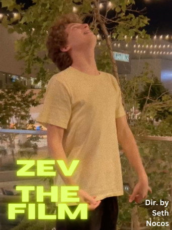 Movie poster for The Zev Filem