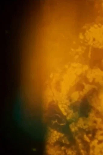 Movie poster for Particles (2020)