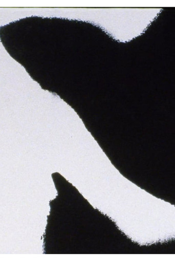 Movie poster for Errata (2005)